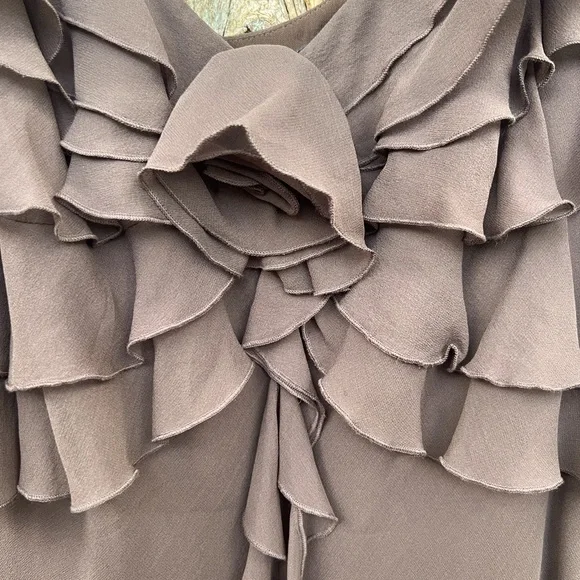 Max & Cleo brown sleeveless silk dress with ruffled bodice in Size 10, lined - Picture 7 of 11